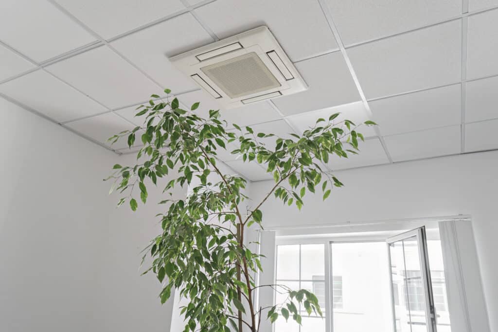 A cassette air conditioner on the ceiling in a modern, well-lit office or apartment, accompanied by green ficus plant leaves. Conceptualizing indoor air quality and clean filters.