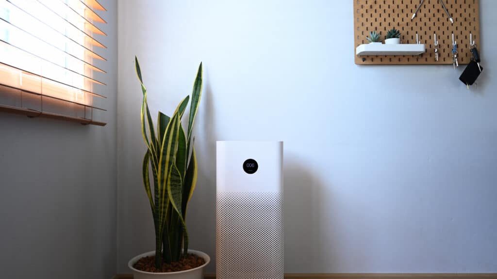 An air purifier and Snake Plant on the floor in a living room contribute to improving indoor air quality and promoting a healthy life.